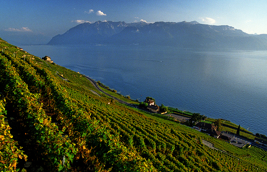 Les terrasses de Lavaux