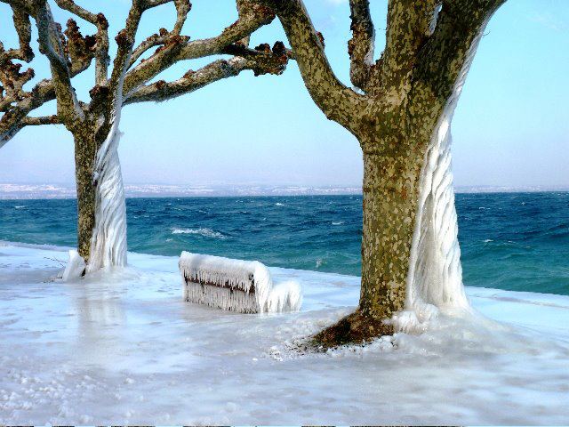 Le lac Léman gelé en hiver