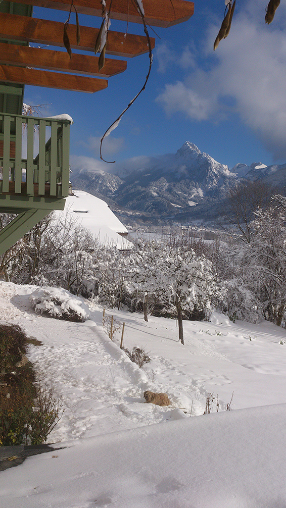 Vue de la terrasse l'hiver