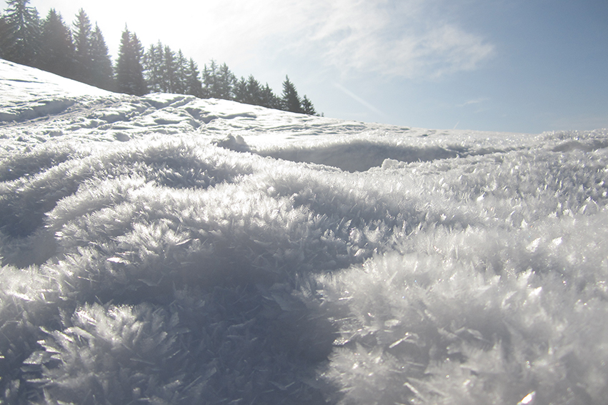 Neige immaculée