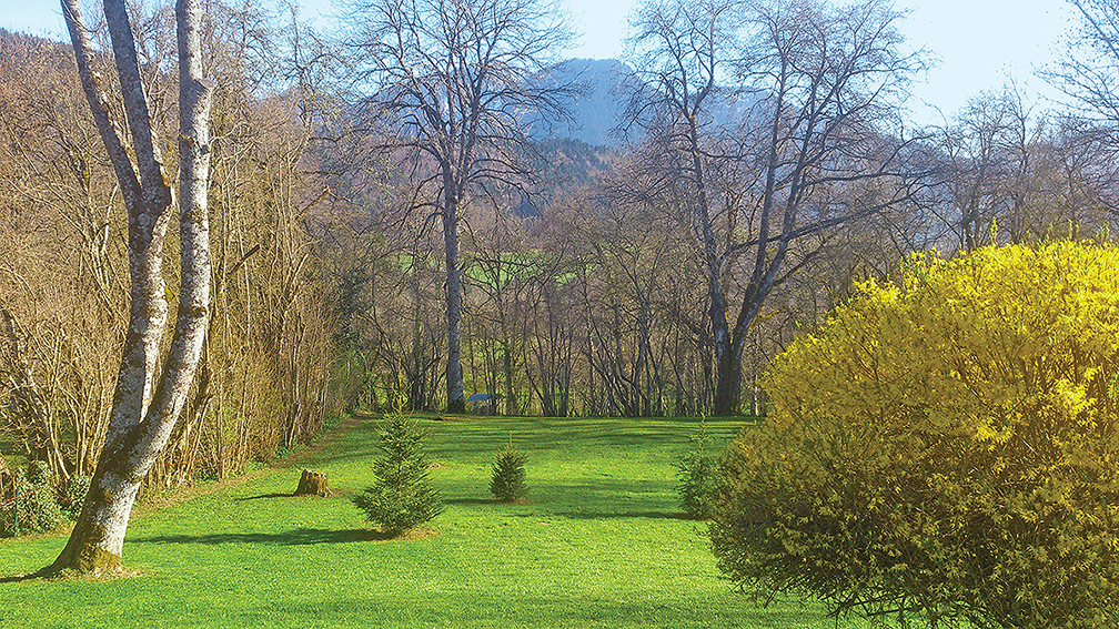 Première tonte du printemps