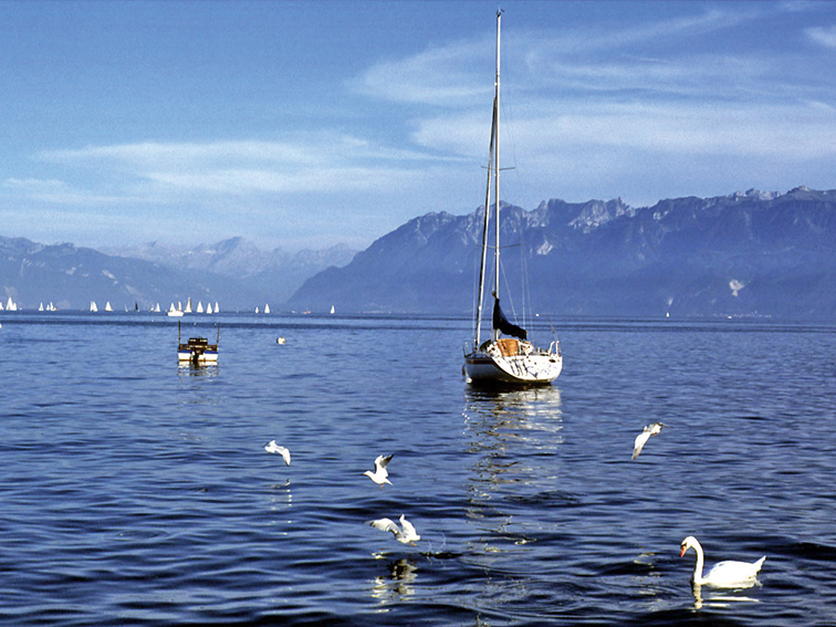 Le lac Léman