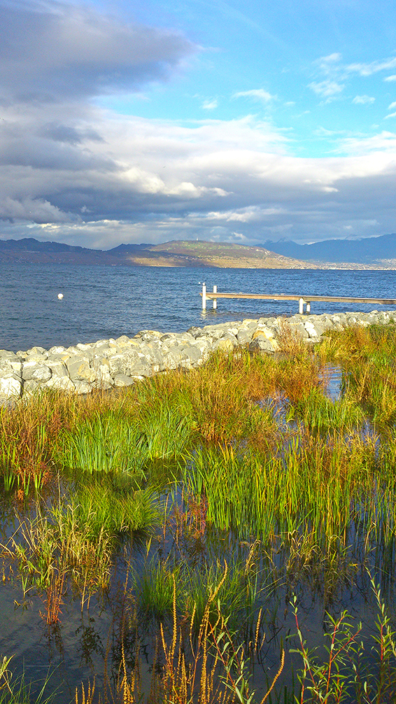 Le lac Léman en automne