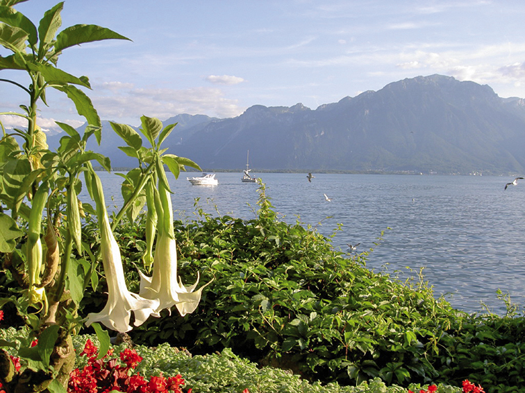 La riviera Suisse