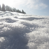 Neige immaculée
