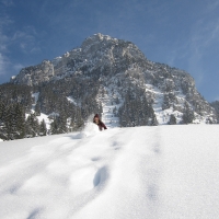 Raquettes sous la Dent d'Oche