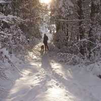 Promenade hivernale