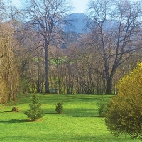 Première tonte du printemps