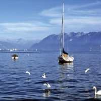 Le lac Léman