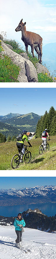 Sports activities near Evian-les-Bains