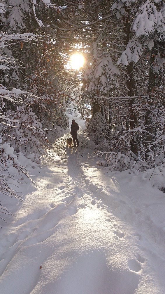 Promenade hivernale